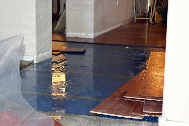 Professional Flood Damage Restoration technician working in Counce, TN